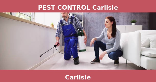 PEST CONTROL Carlisle